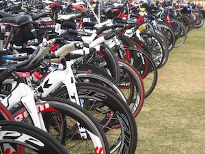 Bikes on Racks copy